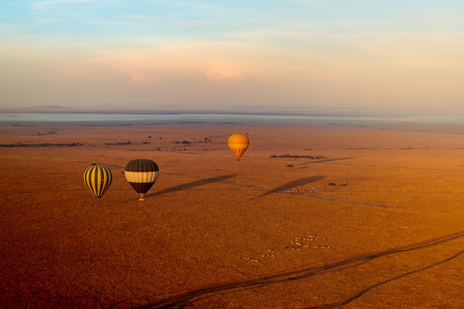 Sweeping African landscape